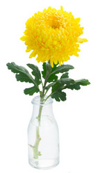 Similar image 8351641