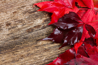 Similar image 8351653