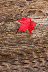 Similar image 8351654