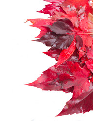 Similar image 8351655