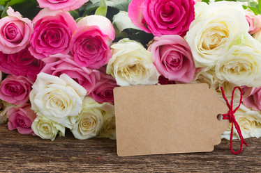 Similar image 8351658