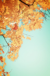 Similar image 8351668