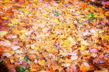 Similar image 8351670