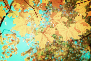 Similar image 8351671