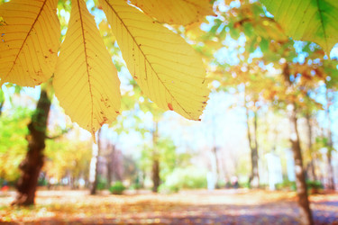 Similar image 8351673