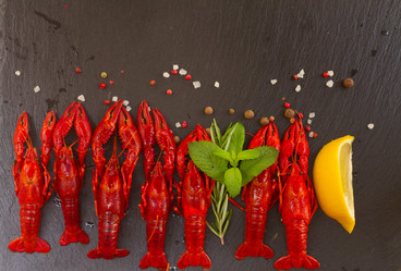 Similar image 8351723