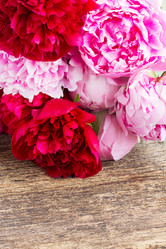 Similar image 8351729