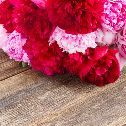 Similar image 8351730