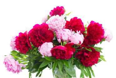 Similar image 8351731