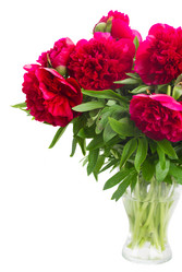 Similar image 8351732