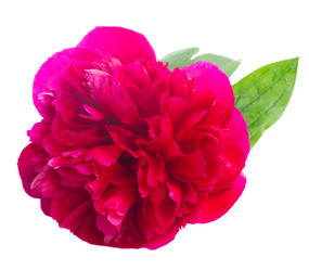 Similar image 8351733