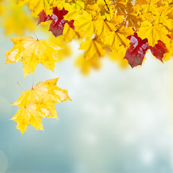 Similar image 8351738