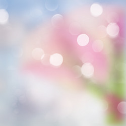 Similar image 8351739