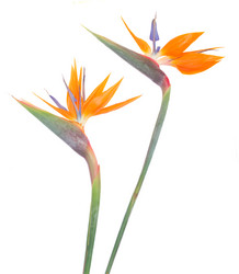 Similar image 8351749