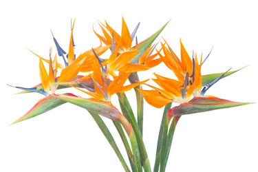 Similar image 8351751