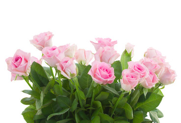 Similar image 8351768