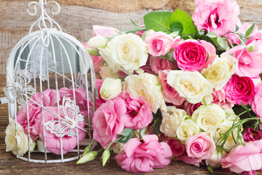 Similar image 8351772