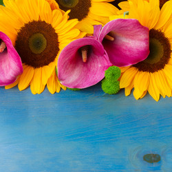 Similar image 8351779