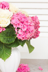 Similar image 8351780