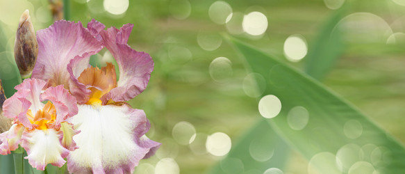 Similar image 8351782