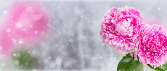 Similar image 8351783