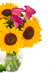 Similar image 8351785