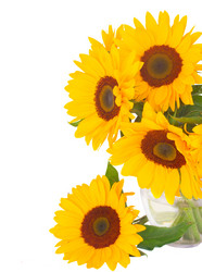 Similar image 8351786