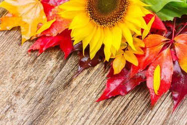 Similar image 8351790