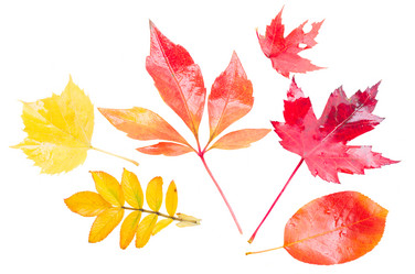 Similar image 8351791