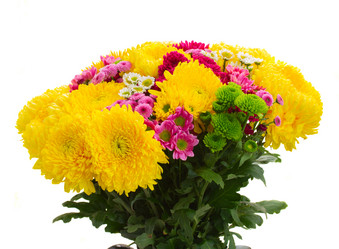 Similar image 8351792