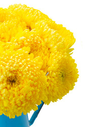 Similar image 8351794