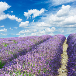 Similar image 8351801