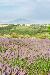 Similar image 8351802