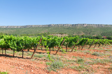 Similar image 8351805