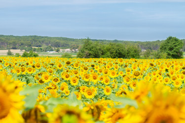 Similar image 8351814