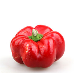 Similar image 8351834