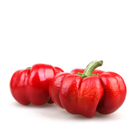 Similar image 8351921