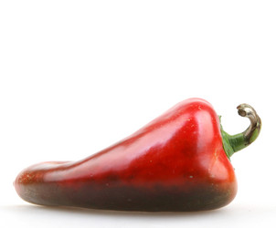 Similar image 8351924