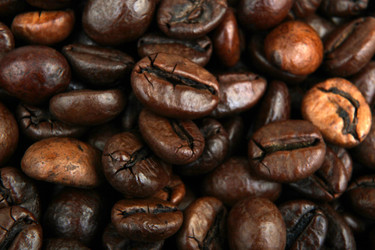 Similar image 8351948