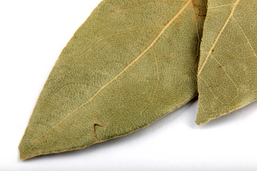 Similar image 8351993