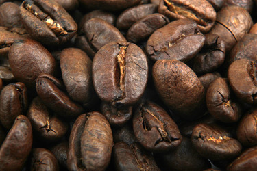 Similar image 8352018