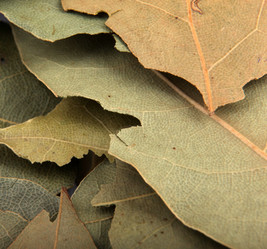 Similar image 8352023