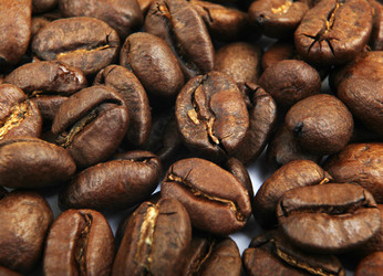 Similar image 8352028