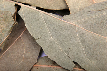 Similar image 8352041