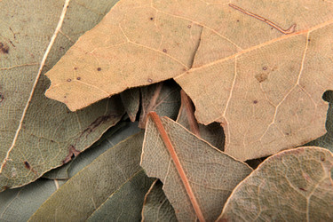 Similar image 8352051