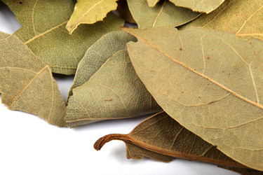 Similar image 8352052