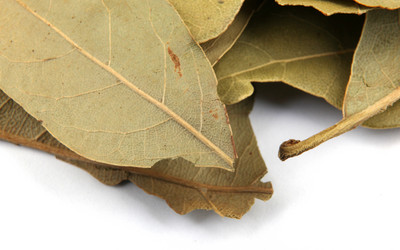 Similar image 8352054