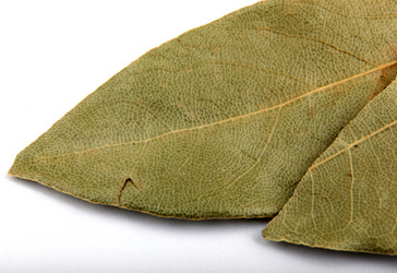 Similar image 8352055