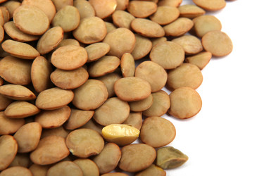 Similar image 8352078