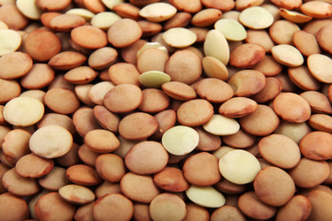 Similar image 8352098